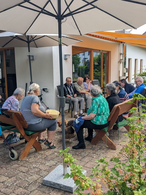 20230714_TP-Egestorf_Hühner-Besuch_11.JPG