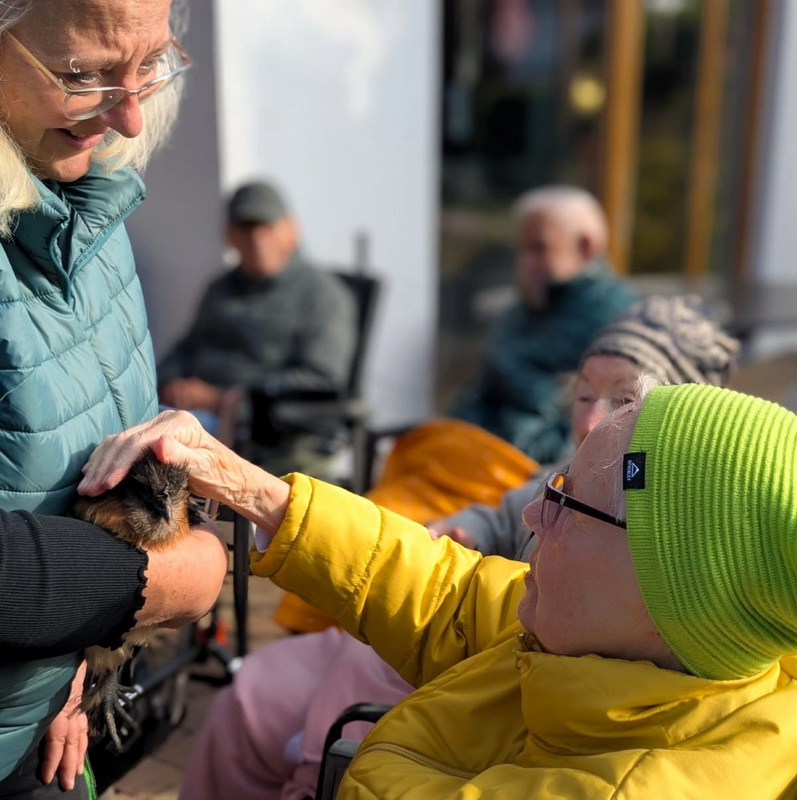 20251017 Hühnerbesuch TP Egestorf 08.JPG