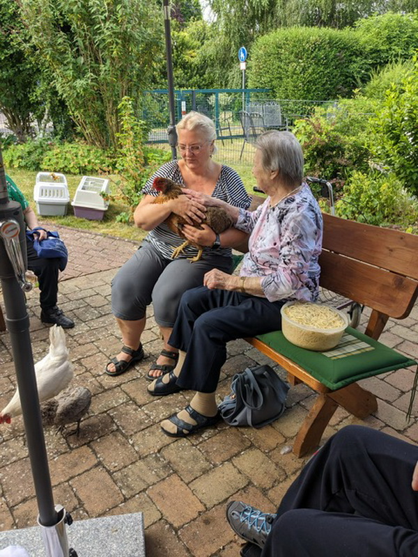 20230714_TP-Egestorf_Hühner-Besuch_07.JPG