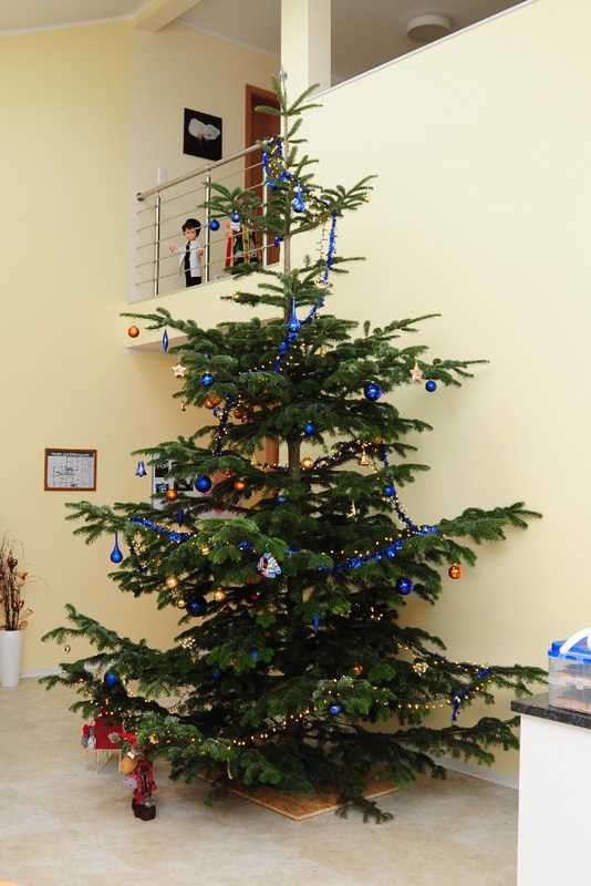 Weihnachtsfest Tagespflege Bückeburg 04.JPG